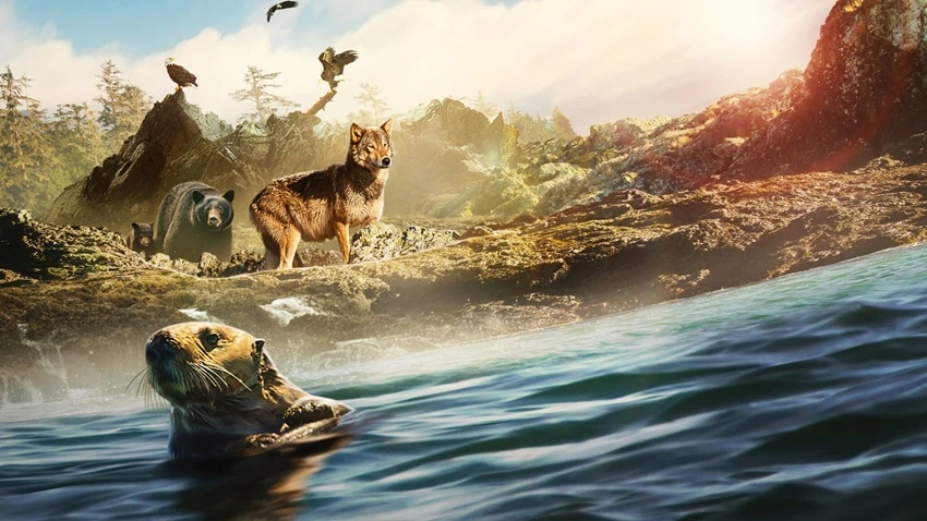 Download Island of the Sea Wolves   | 2022 | Season 1 | Dual Audio | Hindi-English | Netflix Original Web Series | 480p 720p 1080p