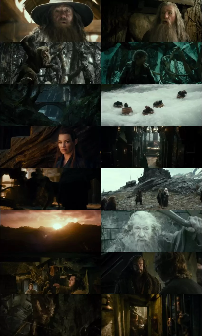 Download The Hobbit: The Desolation of Smaug | 2013 | Hindi-English | Dual Audio | Full Movie 480p 720p 1080p
