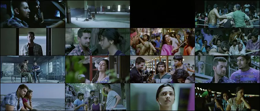 Download Lafangey Parindey | 2010 | Hindi | 480p 720p 1080p
