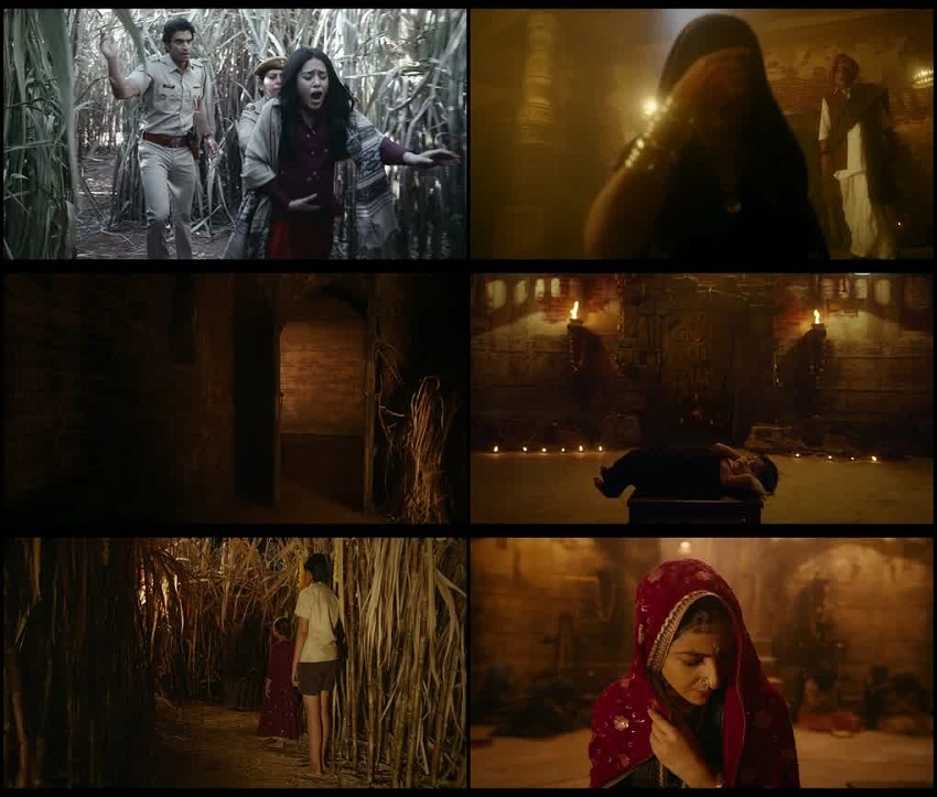 Download Chhorii 2 | 2025 | AMZN WEB-DL | Hindi DD5.1 | Full Movie 480p 720p 1080p