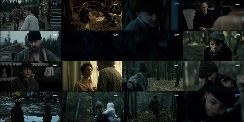 Download The Boy in the Woods | 2023 | Hindi - Dubbed | 1080p