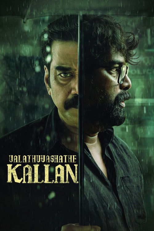 Download Valathu Vashathe Kallan (2026) Hindi Dubbed & Malayalam WEBRip 480p 720p 1080p
