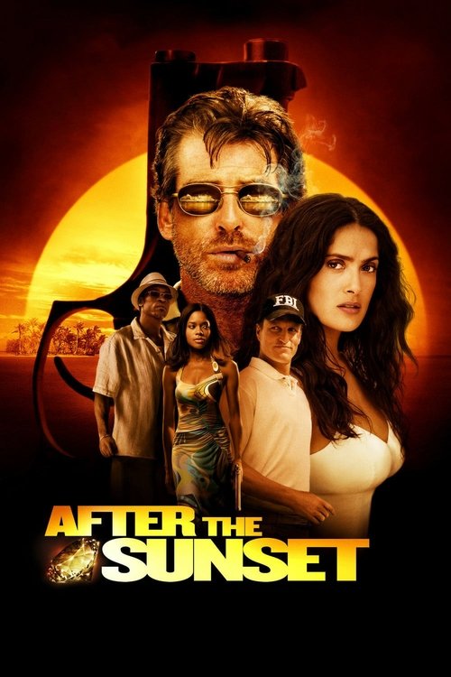 Download After the Sunset (2004) Hindi-English BluRay 480p 720p 1080p