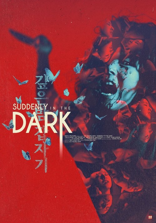 Download Suddenly in the Dark (1981) Hindi Dubbed & Korean BluRay 480p 720p 1080p