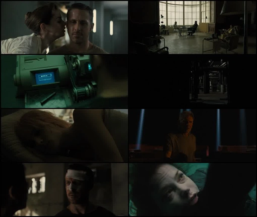 Download Blade Runner 2049 (2017) Hindi-English Blu-Ray 480p 720p 1080p