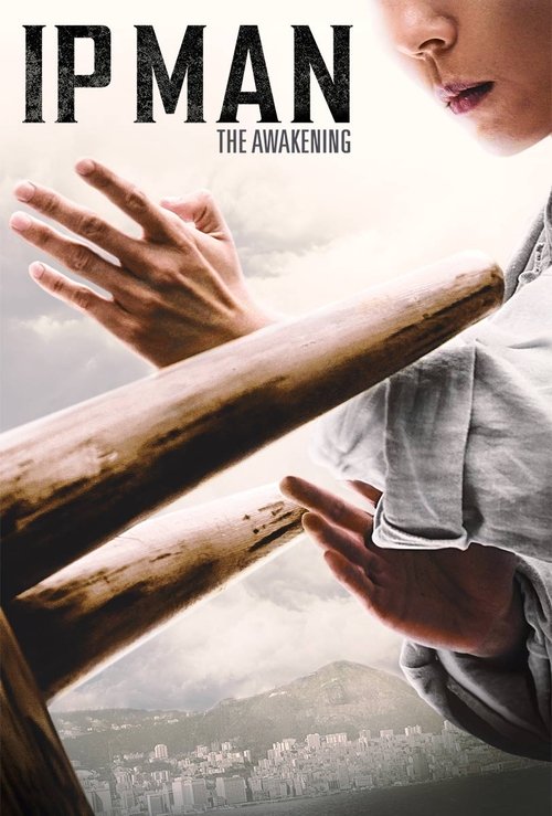 Download Ip Man: The Awakening (2021) Hindi ORG. + English + Chinese BluRay Multi 480p 720p 1080p