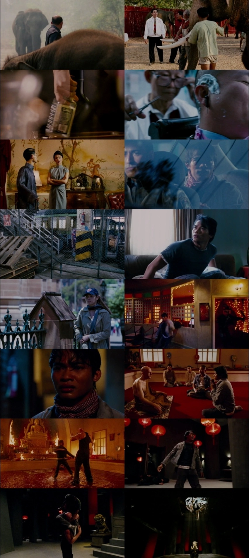 Download The Protector (2005) Hindi Dubbed & Thai BluRay 480p 720p 1080p