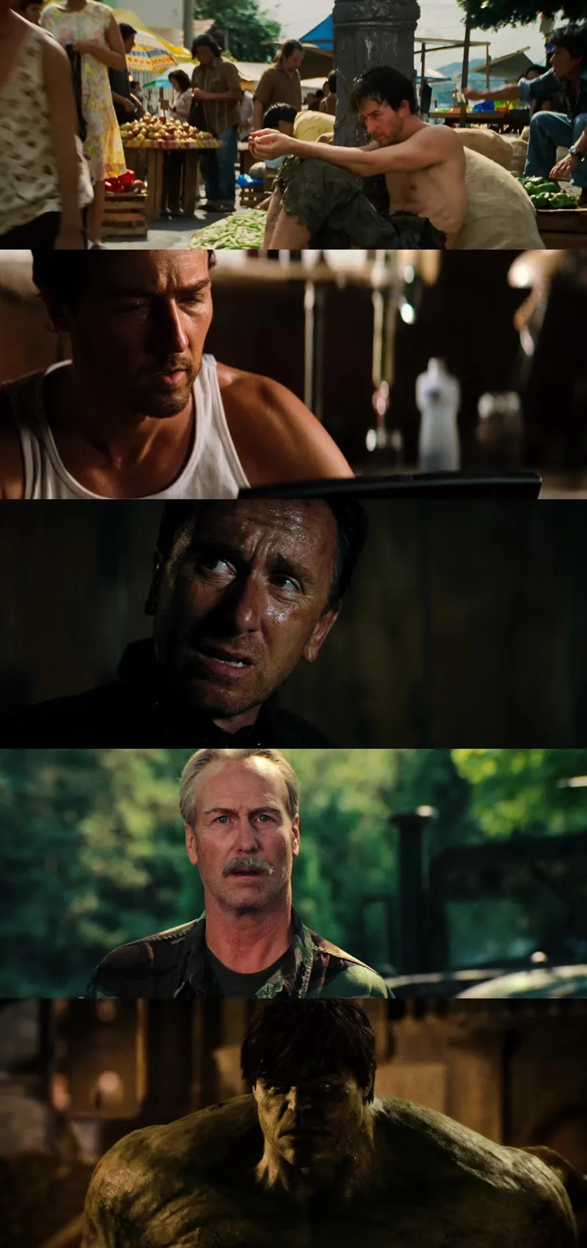 Download The Incredible Hulk (2008) Hindi & English BluRay 480p 720p 1080p