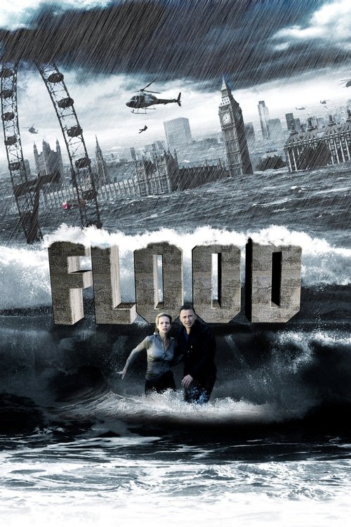 Download Flood (2007) Hindi Dubbed (DD 5.1) & English BluRay 480p 720p 1080p