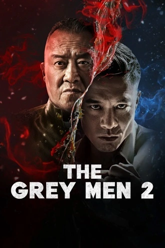 Download The Grey Men 2 (2025) Hindi DD5.1 + Chinese WEB-DL - Amazon 480p 720p 1080p