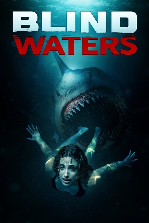 Download Blind Waters (2024) Hindi-English BluRay 480p 720p 1080p