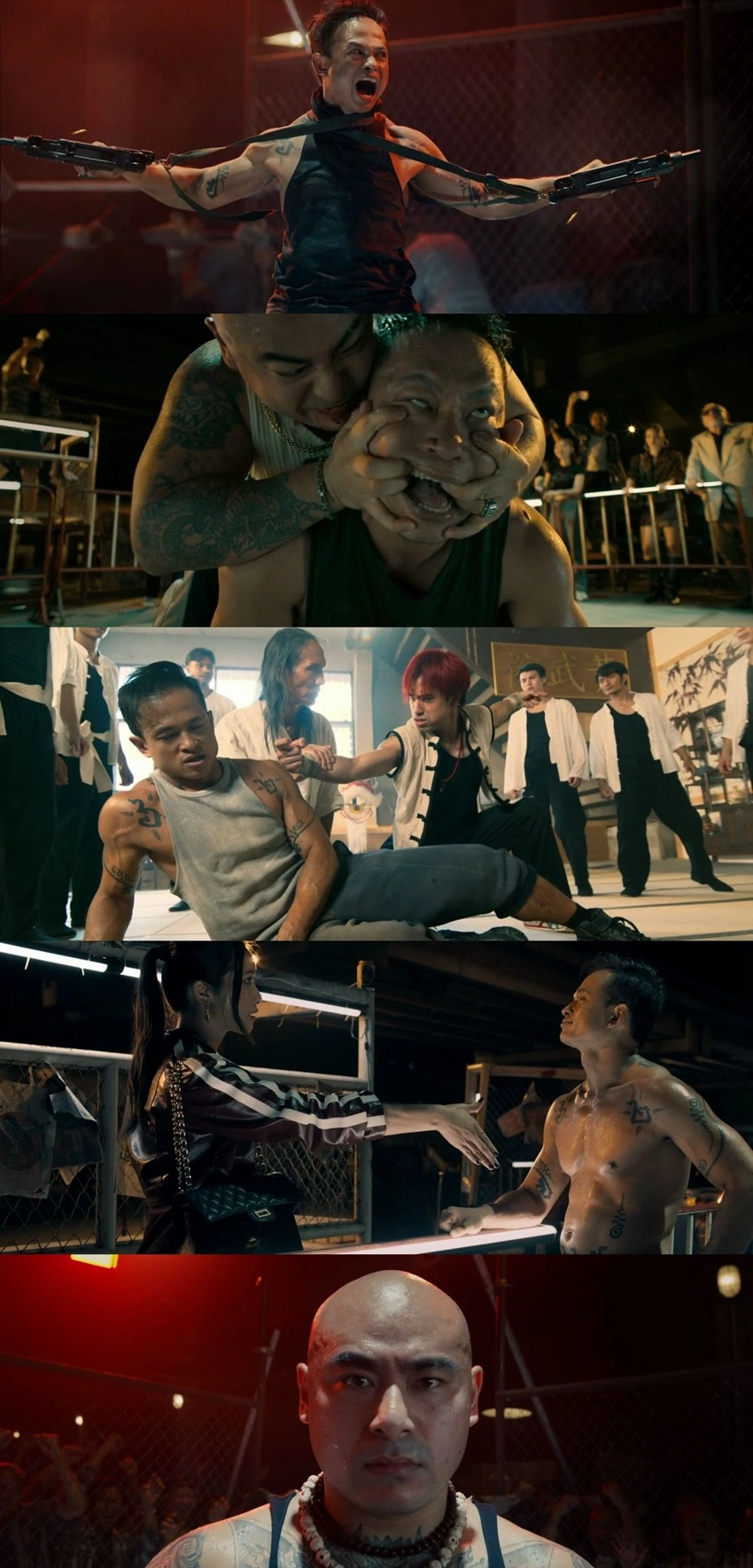 Download Gladiator Underground (2025) Hindi & English AMZN.WEB-DL 480p 720p 1080p