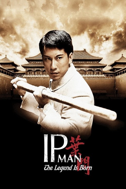 Download The Legend Is Born: Ip Man (2010) Hindi Dubbed & Chinese BluRay 480p 720p 1080p