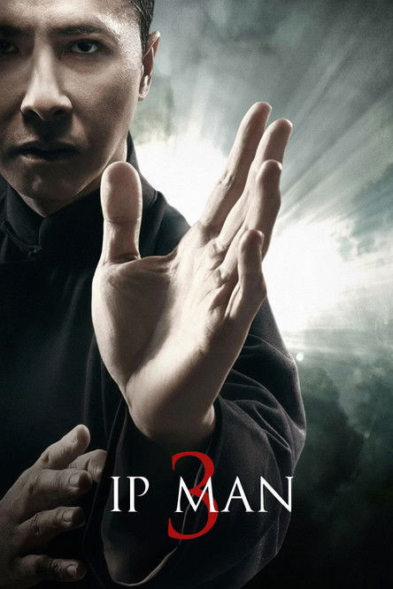Download Ip Man 3 (2015) Hindi ORG. + English + Chinese BluRay 480p 720p 1080p