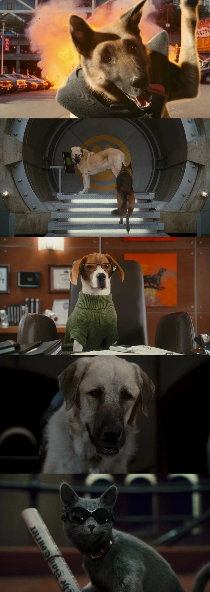 Download Cats & Dogs: The Revenge of Kitty Galore (2010) Hindi ORG + English BluRay 480p 720p 1080p