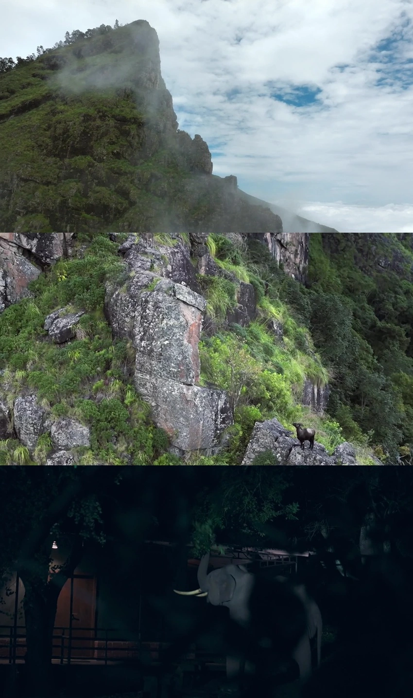 Download Nilgiris - A Shared Wilderness (2024) Hindi ORG. + English + Tamil + Telugu + Kannada WEB-DL 480p 720p 1080p