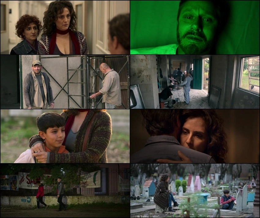 Download The Heart Knows (2025) Hindi & English WEB-DL Netflix 480p 720p 1080p
