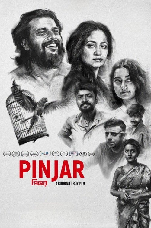 Download Pinjar (2026) Hindi Dubbed HQ HDTC 480p 720p 1080p
