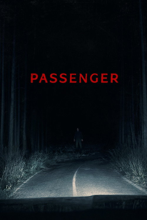 Download Passenger (2026) Hindi & English AMZN.WEB-DL 480p 720p 1080p
