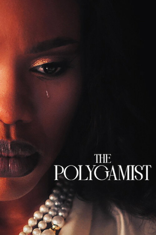 Download The Polygamist (2026) Season 1 Hindi DD5.1 WEB-DL Dual Audio NetFlix Original Web Series 480p 720p 1080p