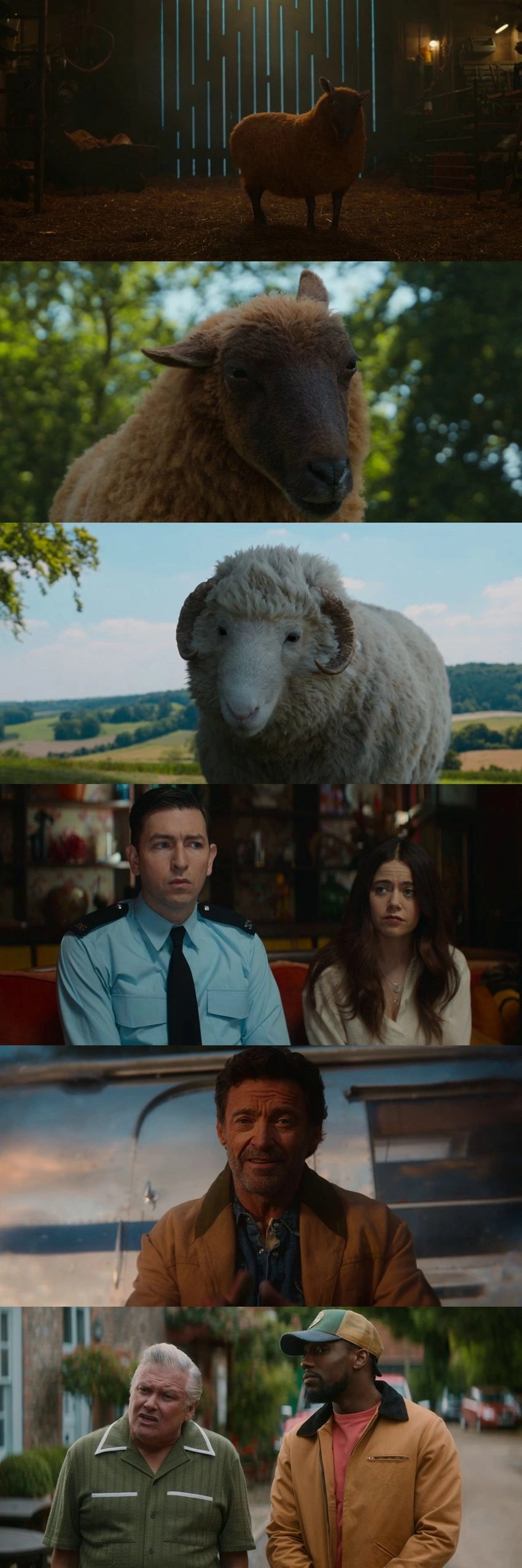 Download The Sheep Detectives (2026) Hindi DD5.1 + English AMZN WEB-DL 480p 720p 1080p